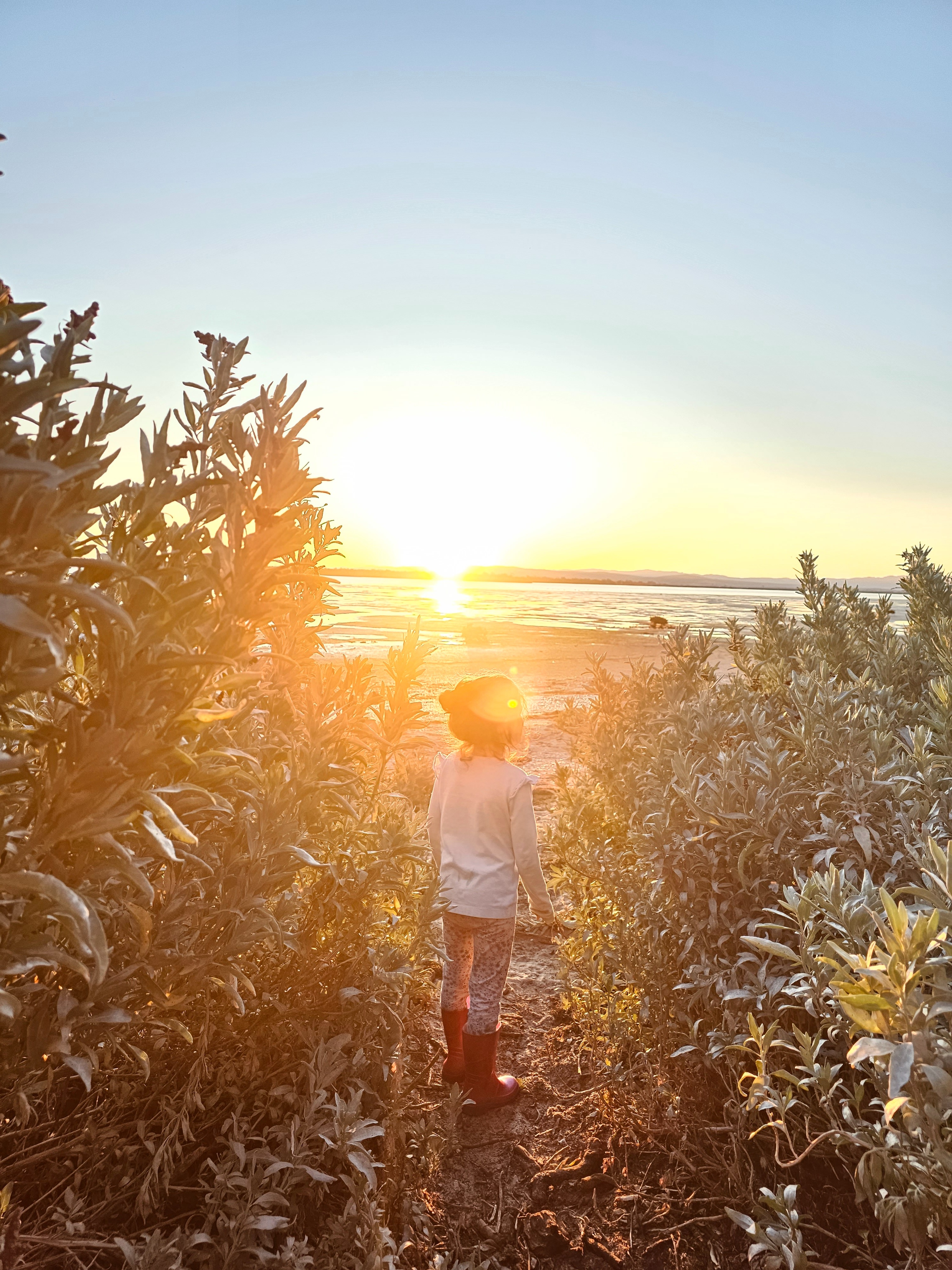 Walking toward the light - contemplative journey to inner wisdom